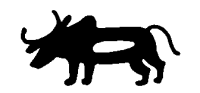 rhino